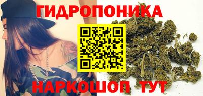 альфа пвп Аргун